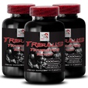 Energy Boost - TRIBULUS TERRESTRIS EXTRACT - Strength Recovery Formula, Dynamic Muscle Support, Stamina Enhancement, Active Power, Physical Energy, Strength Recharge, Stamina Boost 3 Bottles 270 Tabs