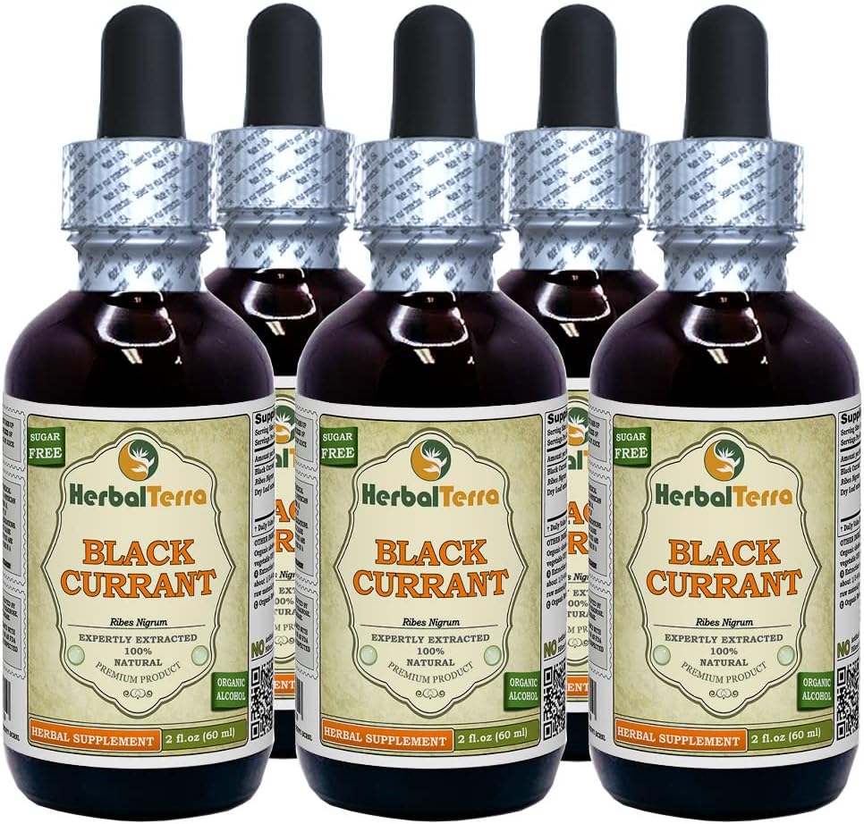 Black Currant (Ribes nigrum) Tincture, incelik Sıvı Türlü (Brand Name: HerbalTerra, Proudly Made in USA) 5x2 fl.oz (5x60 ml)