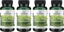 Swanson Full Spectrum Lion's Mane Mushroom - Brain Health Supplement to Support Memory, Focus & Clarity* - Ayrıca Yardım Immune, Heart & Digestive Health - Gluten-Free & Non-GMO - 60 Capsules (4 Pack)