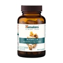 Himalaya Boswellia, Joint Support for Mobility and Flexibility, Promotes Tissue Preservation, 250 mg, 60 Capsules