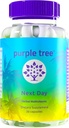 mor ağacı Next Day, Post-Celebration Wellness - Take Tomorrow | Replenish & Feel Your Best | Ashwagandha, Ginger, Peppermint, Milk Thistle, Electrolytes, Vitamins, 30 Pills