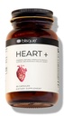 Blisque – Doğal Kan basıncı Kalp Sağlığı ve Circulation Supplement | Doktor-Approved | 200 mg CoQ10, Hawthorn Berry, Beet Root, Turmeric | 90 Capsules