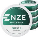 NZE Caffeine Free Nootropic Pouches (Wintergreen) - Alfa GPC, L-Tyrosine & L-Theanine - No Sugar or Yapay Sweeteners - 15 Pouches Per Can - 5 Pack