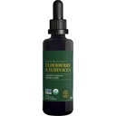 Global Healing USDA Organic Elderberry & Echinacea Liquid Supplement Tincture | Antioksi Immune Support Against Harmful Organisms for Yetişkinler and Kids, Vegan, Non-GMO, 1-Month Supply (2 Oz)