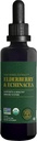 Global Healing USDA Organic Elderberry & Echinacea Liquid Supplement Tincture | Antioksi Immune Support Against Harmful Organisms for Yetişkinler and Kids, Vegan, Non-GMO, 1-Month Supply (2 Oz)