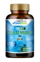 Celulas Madres AFA Stem Natural Cell 120 Κάψουλες 1000 mg Blue Green Algae Non GMO Χωρίς γλουτένη Aphanizomenon Flos-aquae celula Συμπλήρωμα Madre