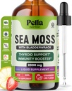 Pella Nutrition Sea Moss Drops with Bladderwrack – 4X Γρηγορότερη απορρόφηση Than Irish Sea Moss Gel Superfood, Gummies, και κάψουλες – Digestive & ανοσοποιητικό συμπλήρωμα υποστήριξης (Strawberry Lime, 60mL)