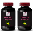 Standardized Tribulus Extract - TRIBULUS TERRESTRIS Extract - Tribulus Dietary, Tribulus for Muscle Support, Tribulus Terrestris Pills, Natural Tribulus, Tribulus Terrestris Pills 2 Bot 120 Capsules
