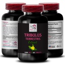 Organic Tribulus - TRIBULUS TERRESTRIS Extract - Pure Tribulus Extract, Natural Tribulus, Tribulus Terrestris Capsules, Tribulus Powder, Tribulus Terrestris Pills, Tribulus Extract - 1 Bot 60 Caps