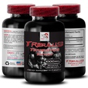 Natural Strength Support - TRIBULUS TERRESTRIS Extract - Stamina Recharge, Energy Enhancement Formula, Plant-Based Energy Booster, Body Power Blend, Muscle Support System 1 Bottle 90 Tablets