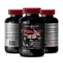 tribulus terrestris Extract Supplement - TRIBULUS TERRESTRIS Extract - tribulus terrestris Powder, tribulus terrestris Vegan, tribulus Extract high, tribulus terrestris 1 Bottle 60 Capsules
