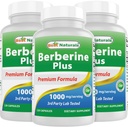 En İyi Doğallar Berberine Plus 1000 mg/Serving 120 Capsules (120 Count (Pack of 3))