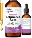 Wild & Organic Echinacea Tincture - Immune Support Drops with Liquid Echinacea Root Extract - Angusolia Supplements - Vegan, Sugar & Alkol-Free - 2 fl ozzz