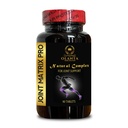 Joint Matrix PRO - glucosamine and chondroitin Supplement, antioxidants Supplements for Women Organic, Advanced Joint Support, msm glucosamine chondroitin, L-Histidine - 1 Bottle