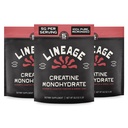 Lineage Provisions Micronized Creatine Monohydrate Powder with Sea Salt – Bulk 3 Pack – Unflavored Creatine Supplement for Men & Women – Easy Mix, 90 Servings Each