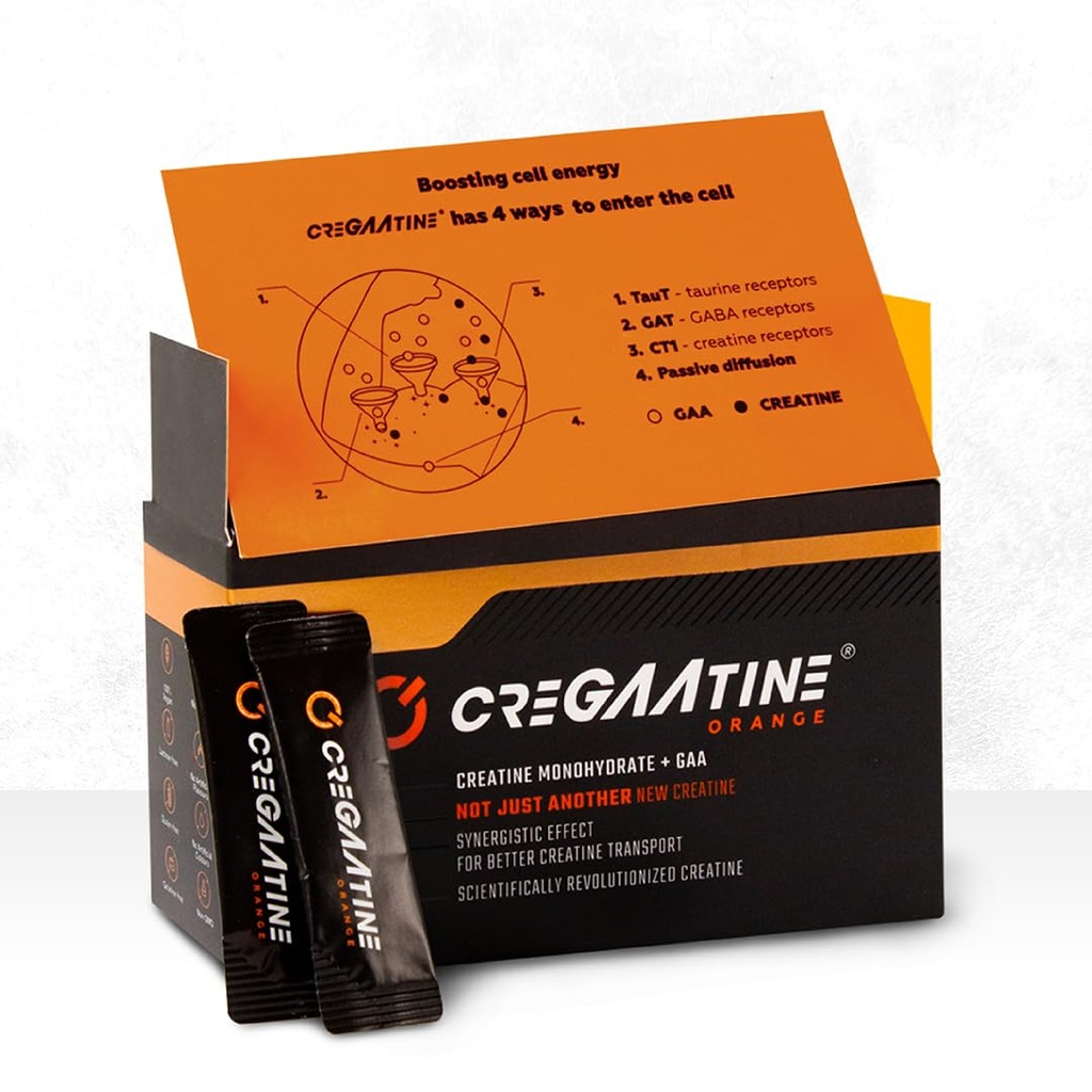 Mikronized Tinatine Monohidrat + GAA | Güçlüyü Art Retention | Boosts Memory & Focus | Single-Serve Packets | 60 Sachets, 30 Hizmet | (Sachets, Orange)