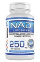 MAAC10 Liposomal NAD Συμπλήρωμα 500mg Σερβιρίσματος (2x250mg Κάψουλες) Πραγματική Νικοτιναμίδη Δινουκλεοτίδιο Αδενίνης
