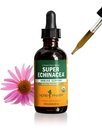 Βότανο Pharm Certified Organic Super Echinacea Liquid Extract σταγόνες για την υποστήριξη ενεργού ανοσοποιητικού συστήματος, 2 Oz