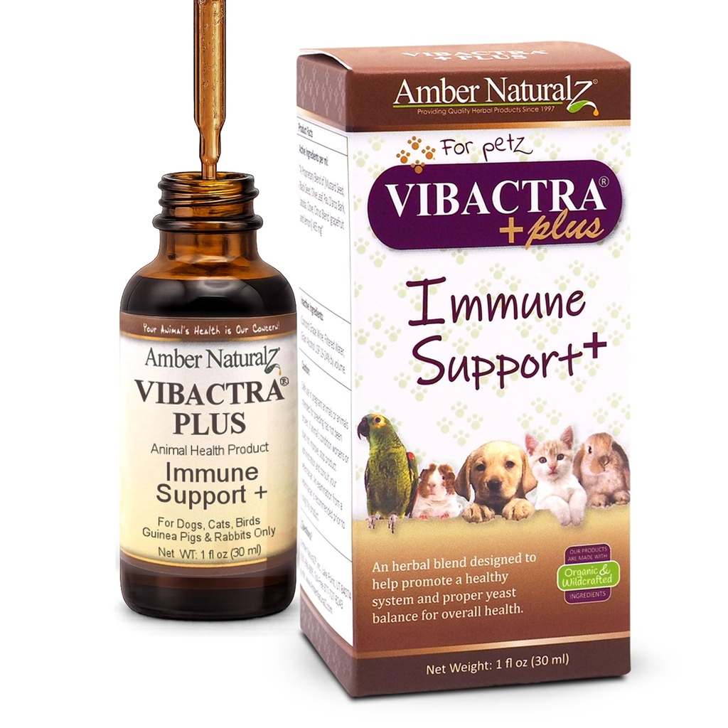 Amber NaturalZ Vibactra Plus Herbal Supplement for Dogs, Cats, Birds, Guinea Pigs, and Rabbits | Herbs for Immune Health and Yeast Balance | 1 Fluid Ounce Glass Bottle