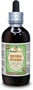 Muira Puama (Ptychopetalum Olacoides) Glycerite, Organik Alkol Özgür Sıvı Ekstraksiyon (Brand Name: HerbalTerra, Proudly Made in USA) 4 fl.oz (120 ml)