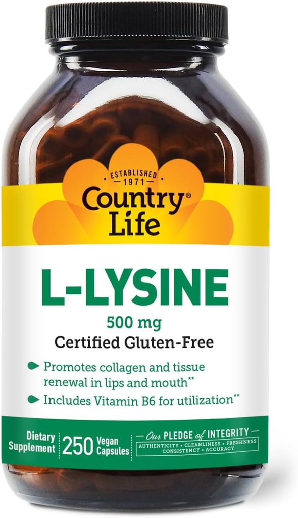 Ülke Life L-Lysine 500 mg ile B-6, Destekler Immune Health, Lips and Mouth, 250 Vegan Capsules, sertifikalı Gluten Free, sertifikalı Vegan Vegan