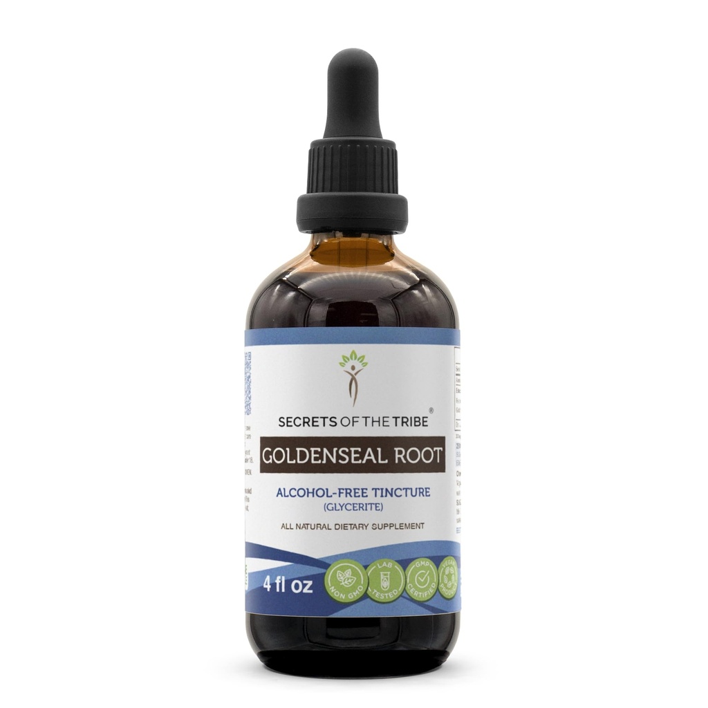 Secrets of the Tribe Goldenseal Root Liquid Extract for Immune & Digestive Support | Herbal Supplement | Alcohol-Free | Hydrastis Canadensis Dried Root | Drops 4 fl oz