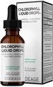 Kodage Chlorophyll Liquid Drops Supplement - Vegan klorophyll 50 mg per Service, Organic Peppermint Flavor Clorofila Drink - Non-GMO, Gluten-Free, Vegan - 2 fl oz