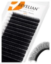 BEYELIAN Easy Fan Volume Lash Extensions 0.05 0.07 C D Curl 8-15mm Mixed & Single Length Tray Rapid Blooming Volume Lashes Self Fanning Lash Extension Supplies (0.05 D Curl)