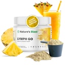 Lymph Go - Kadınlar ve Erkekler için Lymph System Desteği - Bromelain, Echinacea, Burdock Root, Dandelion, Düsseldorf, Kelp & More - 406 Oz - 30 Hizmet - Tropikal Flavor