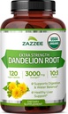 Zazzee USDA Organik Dandelion Root 10:1 Ekstraksiyon, 3000 mg Güçlü, 120 Capsules, 4 Ay Supply, Standartlaştırılmış ve Yoğun 10X Ekstraksiyon, %100 Vejetaryen, All-Doğal ve Non-GMO