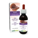 Naturalma Reishi (Ganoderma lucidum) Fungus veya Mushroom Alkol-Free Tincture - 4 fl oz Sıvı Ekstraksiyon - Herbal Supplement - Vegan