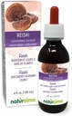 Naturalma Reishi (Ganoderma lucidum) Fungus veya Mushroom Alkol-Free Tincture - 4 fl oz Sıvı Ekstraksiyon - Herbal Supplement - Vegan
