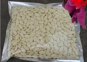 100% Pure & Organic Royal Jelly λυοφιλοποιημένη σκόνη δισκίο 100 γραμμάρια 10- HAD > 6, 0%