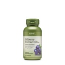 GNC Herbal Plus Bilberry Extract Supplement, Vegetarian, Supports Eye and Health, 100 Servings