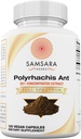 Samsara Herbs Πολυράχης Μαύρο εκχύλισμα μυρμηγκιών - 120 κάψουλες