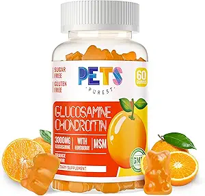 MSM & Elder Ekstra Güçleri ile Evcil hayvanlar Purest Glucosamine Chondroitin Gummies - Ortak Destek, Antioksi Immune Support Supplement for Yetişkinler, Men & Women. Portakal