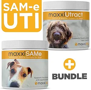 maxxipaws SAM-e UTI Bundle – maxxiSAMe Advanced SAM-e Υποστήριξη για τα σκυλιά & maxxiUtract κυνικός ουρολοίμωξη και Bladder συμπλήρωμα