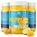 Parent Organic Irish Sea Moss Gel 12oz - USA Made_Parent (Pack of 1, Mango-Pinneaple)