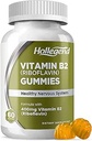 B2 Vitamin Gummies Riboflavin 400 mg, B2 Vitamin Chewable Supplement, Vegan, GMO, Orange Flavor, 60 Count Count Count