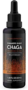 Surthrival: Chaga Mushroom Extract Forager's Quest, 50 mL, The Nature's Immune-Boosting, Anti-Viral, Anti-Fungal Medicinal Mushroom