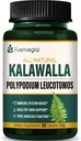 Kalawalla Root Κάψουλες, Πολυποδίου Leucotomos Extract Συμπληρώματα Υποστήριξη ανοσοποιητικό σύστημα, την υγεία του δέρματος, και την ελεύθερη Ριζοσπαστική Άμυνα, διαρκεί 3 μήνες. 90 Αριθμός