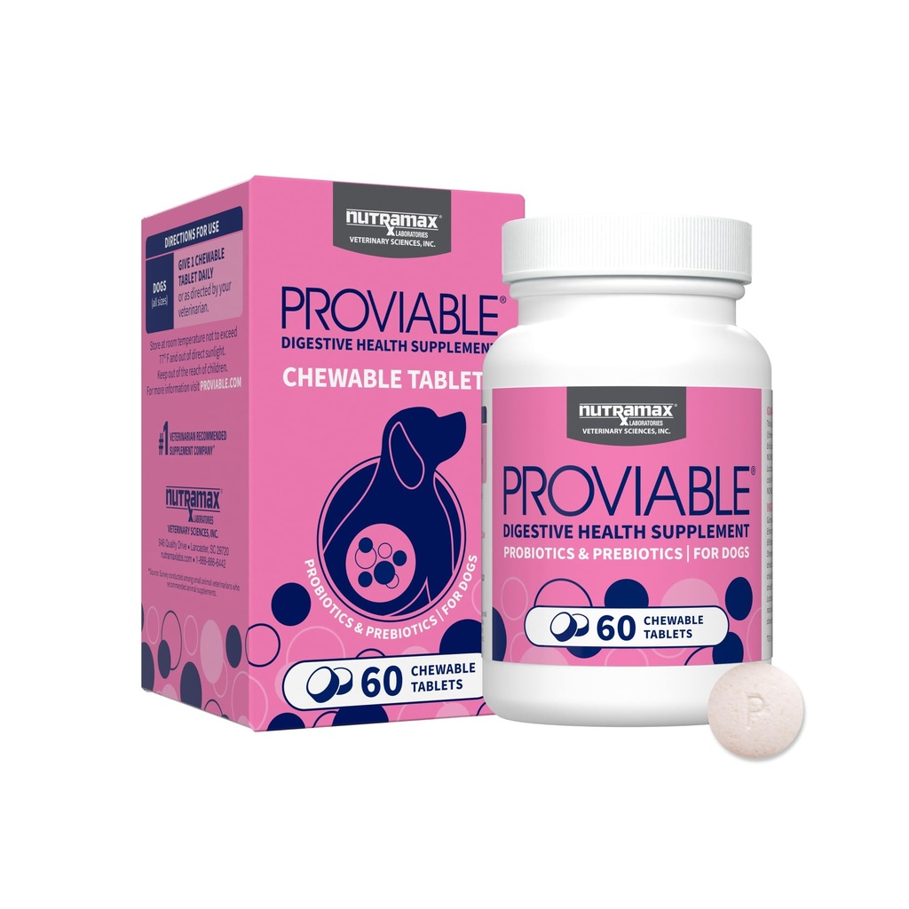 Nutramax Köpekler için Proviable Probiyotikler, Daily Digestive Health Supplement, Multi Strains of Bakteri, Dog Probiyotiks Plus Prebiyotiks, 60 Chewable Tabletler