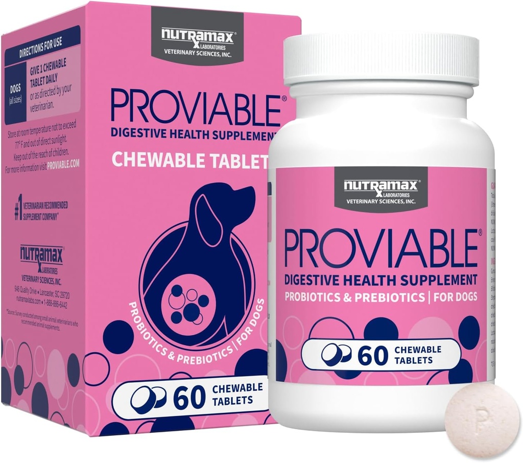 Nutramax Köpekler için Proviable Probiyotikler, Daily Digestive Health Supplement, Multi Strains of Bakteri, Dog Probiyotiks Plus Prebiyotiks, 60 Chewable Tabletler