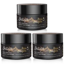 Shilajit Purest Himalayan Organic Shilajit Resin - Χρυσός βαθμός 100% καθαρότητας Shilajit με Fulvic Acid & 85+ Trace Minerals Complex για την ενέργεια & την ανοσοποιητική υποστήριξη, πακέτο των 3 (6 Μήνες Προμήθεια)