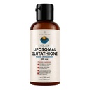 AMANDEAN Liposomal Glutathione Supplement. Sıvı Azaltılan Setria 500 mg. Immune Support, Brain Health, Liver Detox, Skin Health. Phosphatidylcholine from Non-GMO Sunflower Lecithin. Soy-Free & Vegan.