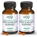 GloX3 Ortak Destek Ekstra Kuvvetli Omega-3 Supplement | Premium Yeni Zelanda Yeşil Lipped Mussel Oil - Comfort, Flexability, Muscle Recovery - ETA EPA DHA Omega 3 Capsules 2 Ay