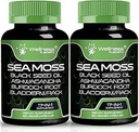 Ιρλανδικές κάψουλες Moss της θάλασσας, 17-σε-1, Seamoss Black Seed Oil, 120 Count, Ashwagandha Burdock Ρίζα οργανικές κάψουλες Bladderwrack 
