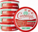 Cannadips - Mint Energy, Nootropic Caffeine Pouches, Made in USA, 5‑Pack | 50mg Lion's Mane, 100mg Caffeine, 50mg L-Theanine,No Sugar,Ultra Performance,Brain Fuel,Cognitive Performance, Energy Pouches