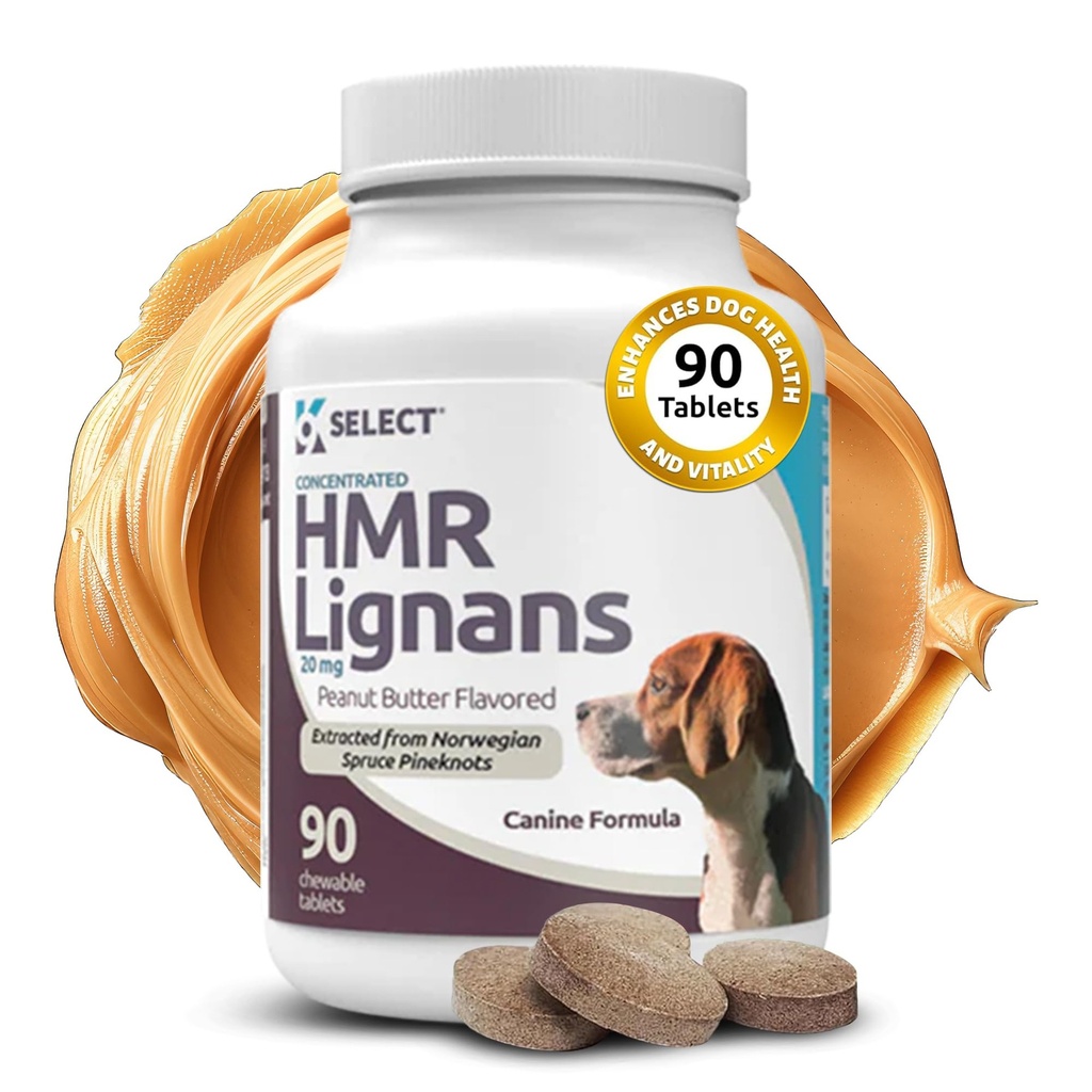K9 Select HMR Lignans for Dogs - Ενισχυτής για τη Συνολική Ευεξία, Ανοσολογική Υποστήριξη για τους Σκύλους - Norway Spruce Extract Holistic Dog Health - Digestion, & Coat Care - Φυστικοβούτυρο, 20mg, 90 Tablets