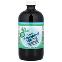 World Organics Liquid Chlorophyll Liquid with Spearmint, 16 Akışkan Ounce
